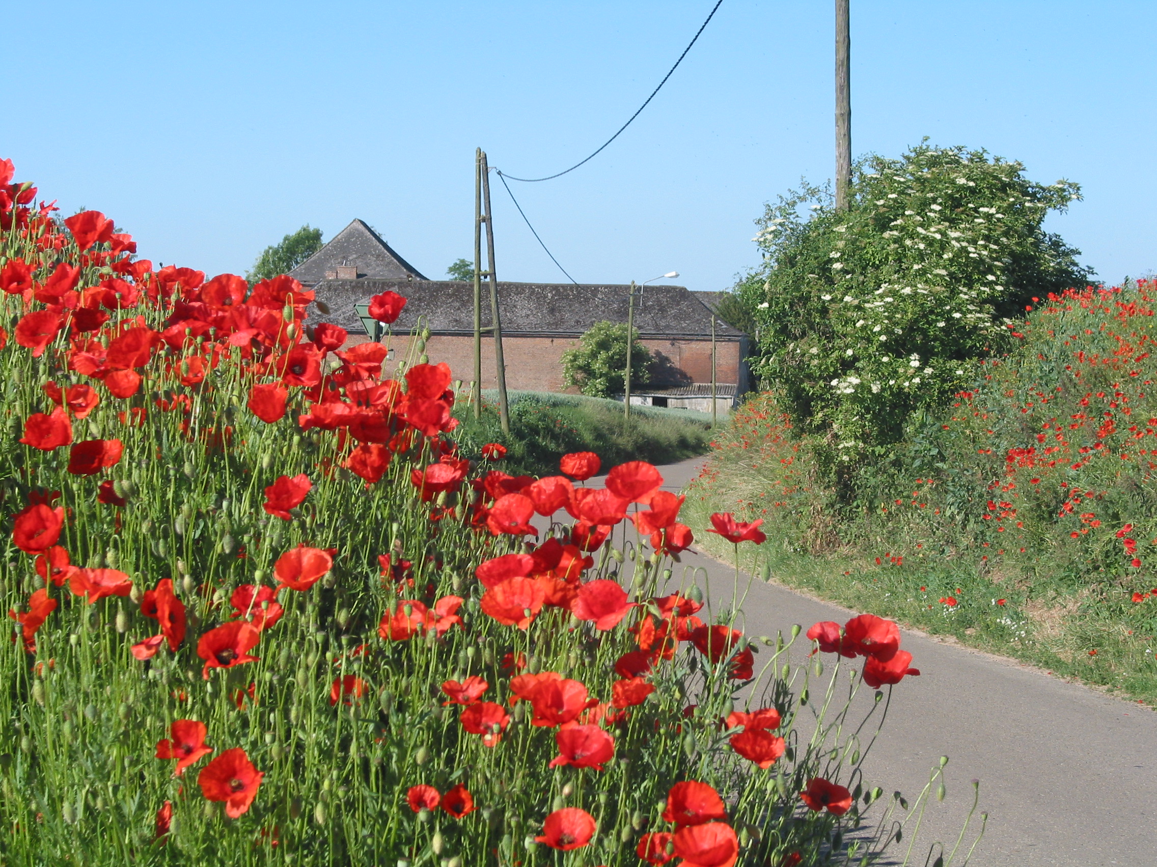 Studiereis Denemarken