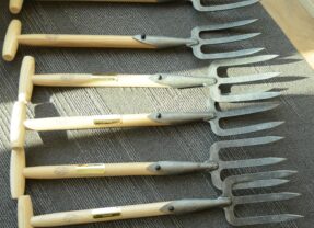 NVLJ reikt Gouden Grepen 2024 uit